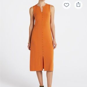 NWT Market and Spruce Delia Button Shirt Dress